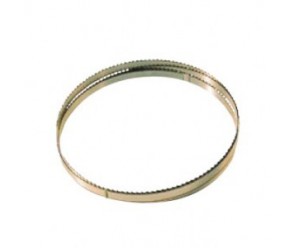 Cinta de recambio 2400 mm x 20 mm