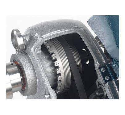 Record Power Coronel Herald