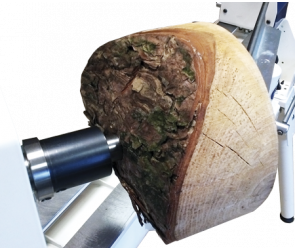 Placa excêntrica simples descentralizada 2