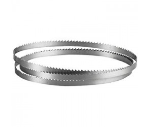 Cinta recambio Laguna 18BX ancho 10 mm.