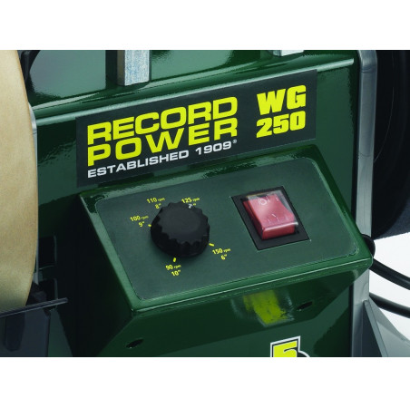 Afiladora al agua WG250-PK/A Record Power