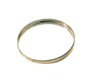 Fita de substituição 2400 mm x 20 mm