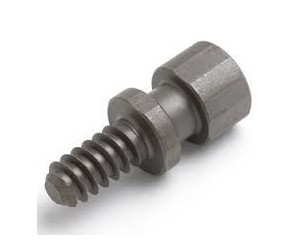 Tornillo woodworm