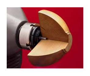 Tornillo woodworm 2